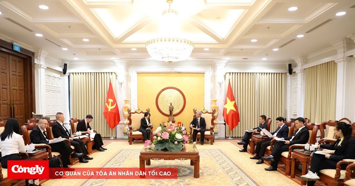 Đoàn TAND cấp cao Thượng Hải (Trung Quốc) thăm và làm việc tại TANDTC Việt Nam