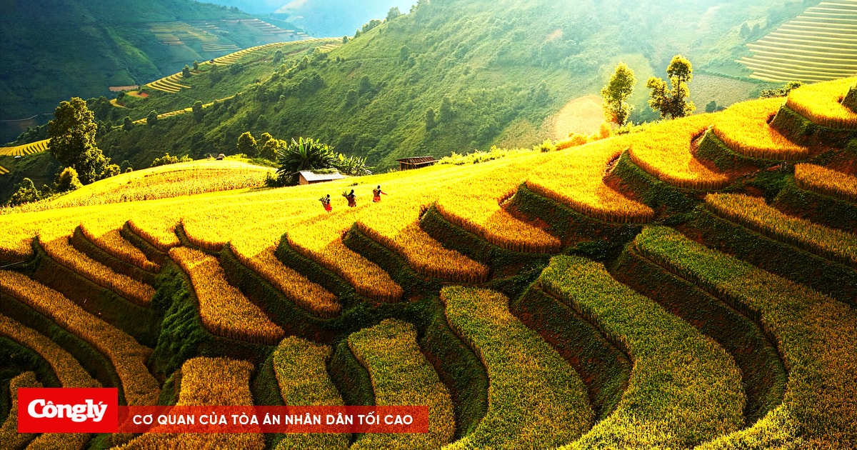 Sơn La khẳng định tiềm năng du lịch trong kỷ nguyên số