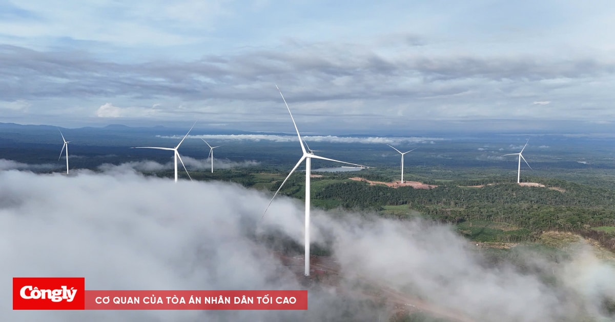 Chính thức vận hành thương mại nhà máy điện gió Savan 1 của T&T Group tại Lào