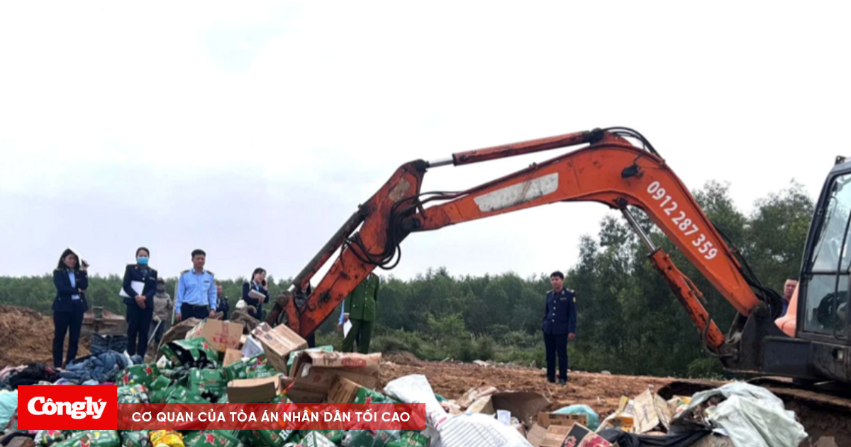 Hàng nghìn sản phẩm vi phạm bị tiêu huỷ tại Quảng Trị