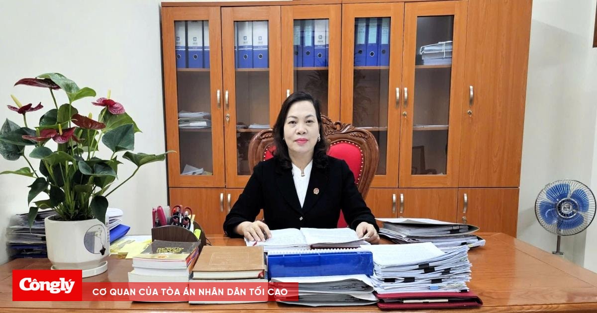 TAND khu vực 5 – Ninh Bình: Nâng cao chất lượng giải quyết án hành chính