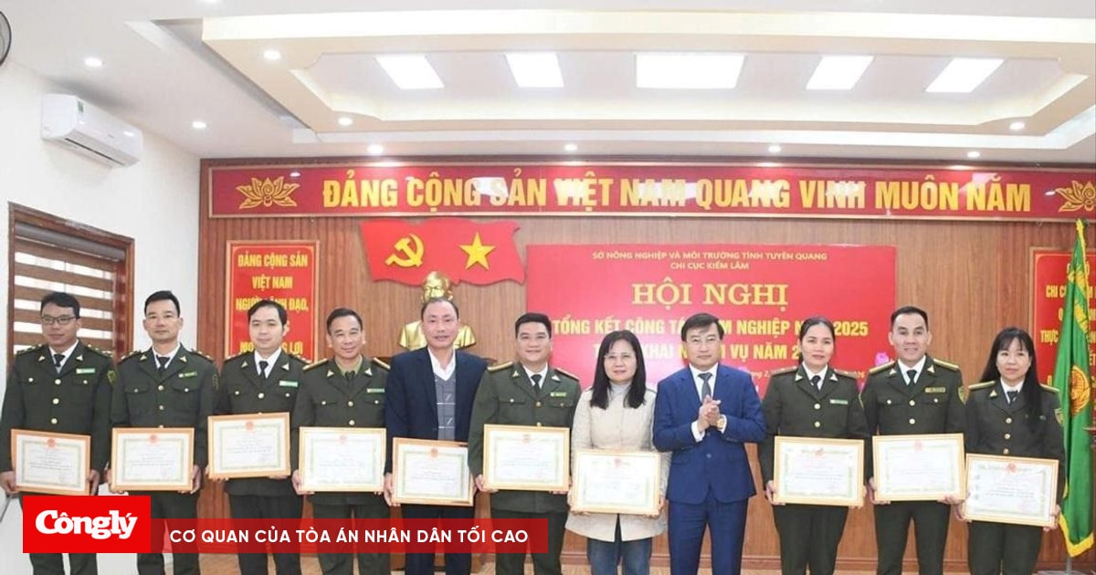 Tuyên Quang: Xử lý nghiêm hành vi xâm hại tài nguyên rừng