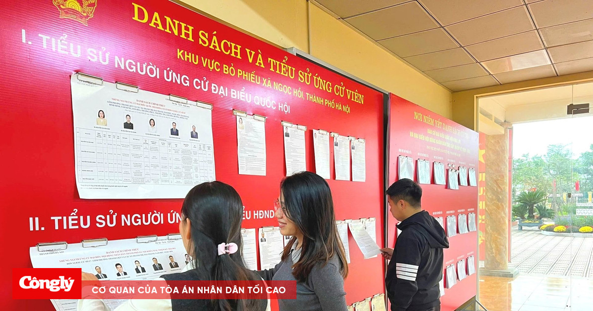 Con nuôi là người nước ngoài có được bầu cử ở Việt Nam?