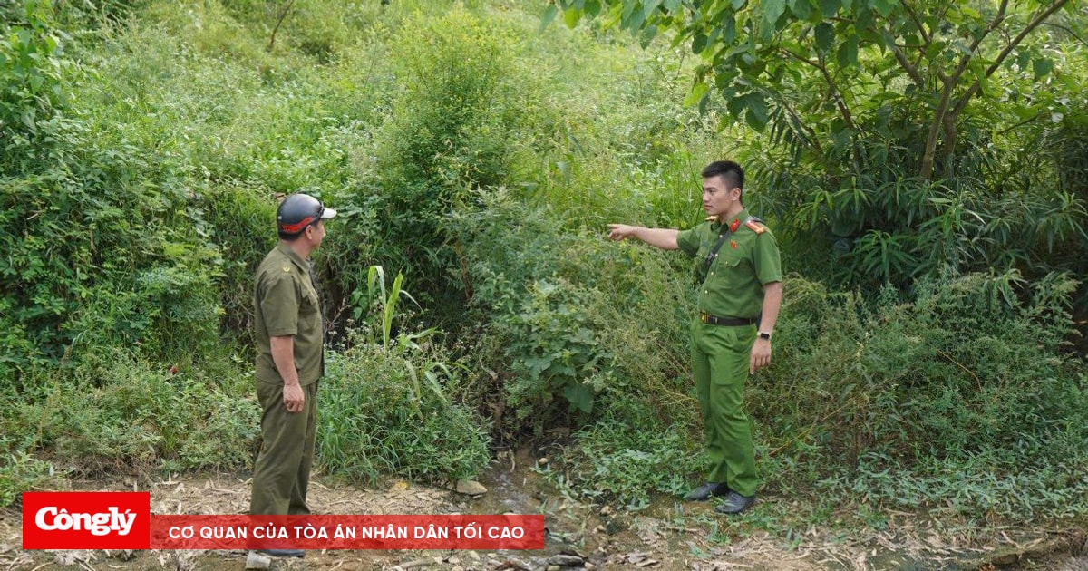 Công an vào cuộc vụ nước giếng khoan chuyển màu tím bất thường