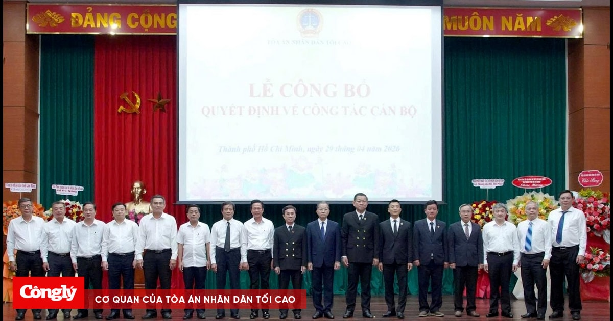 Bổ nhiệm Chánh tòa Tòa Phúc thẩm Tòa án nhân dân tối cao tại TP.HCM và Đà Nẵng