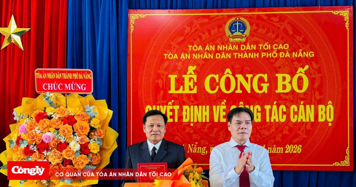 Công bố quyết định điều động, bổ nhiệm Chánh án TAND khu vực tại Đà Nẵng