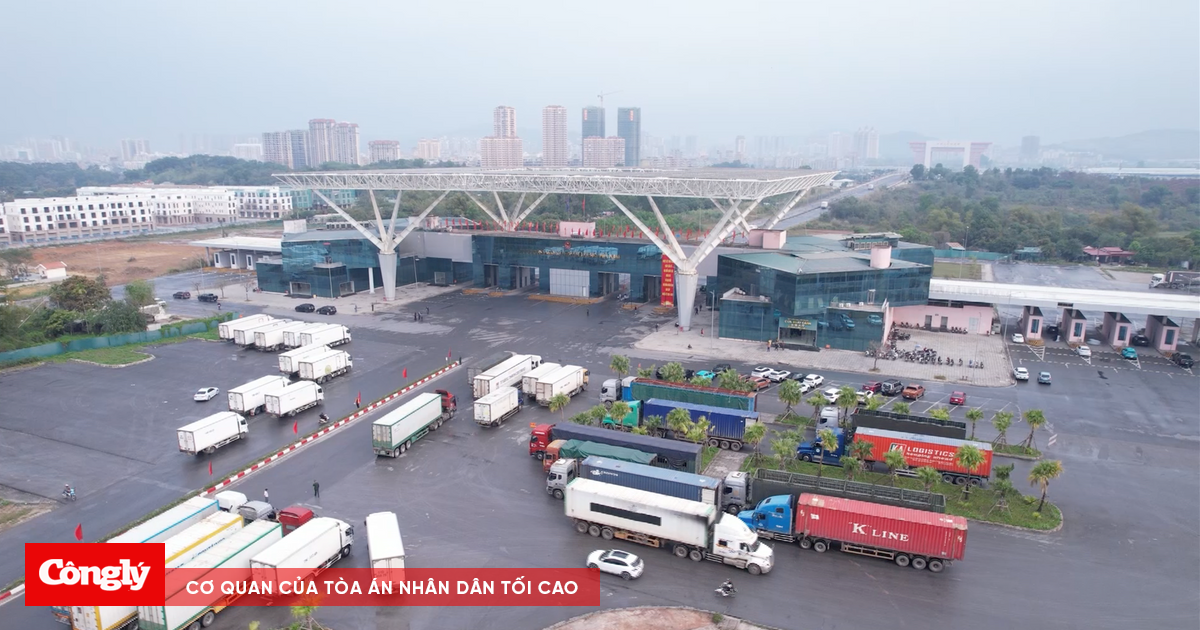 Quảng Ninh áp dụng phí 0 đồng hạ tầng cửa khẩu, hút dòng hàng nhập khẩu