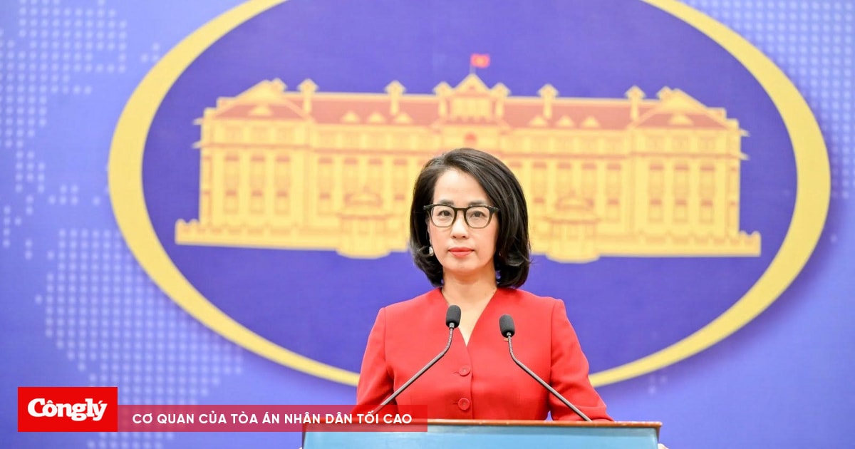 Đề nghị Hoa Kỳ đánh giá khách quan, cân bằng nỗ lực bảo hộ sở hữu trí tuệ của Việt Nam