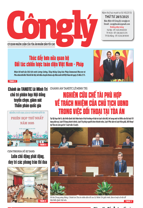Công lý số 43