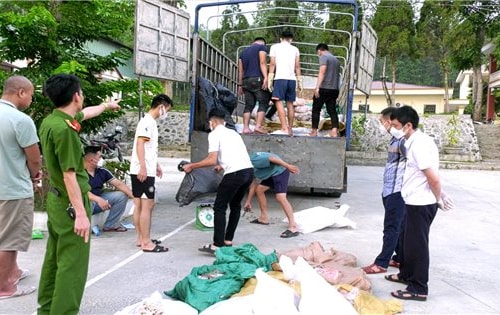 Lào Cai: Thu giữ hơn 3 tấn thực phẩm không rõ nguồn gốc