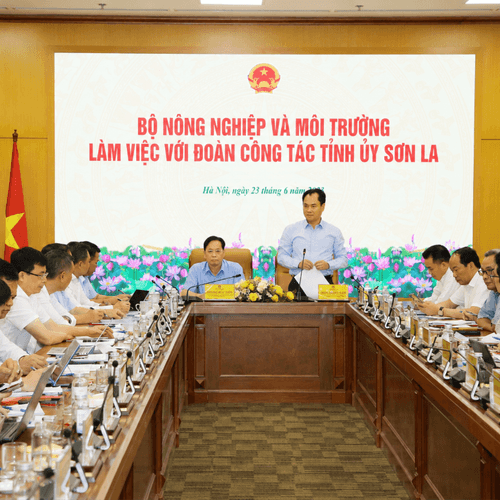 Bảo đảm quyền lợi người dân tái định cư thủy điện Sơn La
