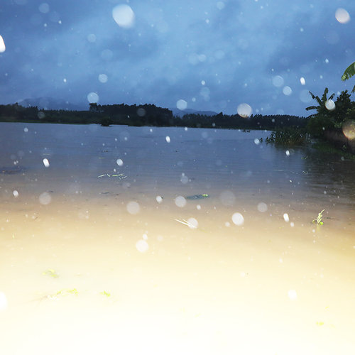 Bắc Ninh: Hơn 8.300 hecta lúa, hoa màu bị ngập úng