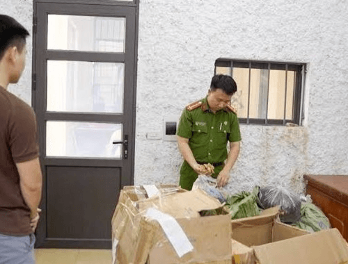 Khởi tố người bán thảo mộc quảng cáo sai công dụng sản phẩm