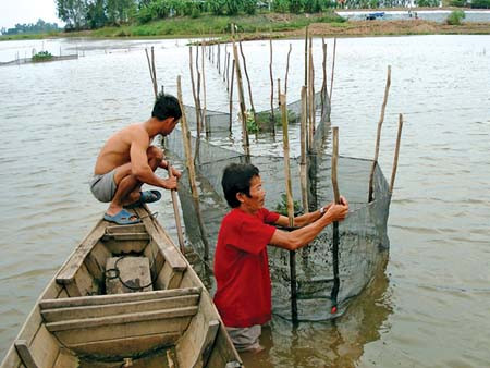 Hân hoan đón lũ