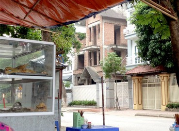Bán bún ngan, trồng rau trong biệt thự "triệu đô"