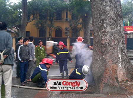 Hà Nội: Cây cổ thụ “phun khói” từ gốc