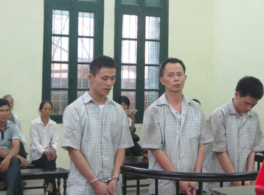 Bố cùng con trai, con rể dắt nhau ra tòa