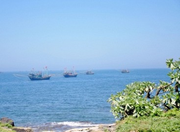 Thú vui lặn biển ngắm san hô đen ở Cồn Cỏ