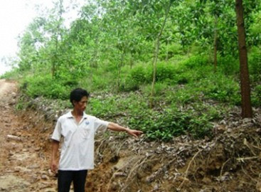 Nữ sinh bị 3 thanh niên hiếp dâm, hoảng loạn chạy trốn vào rừng