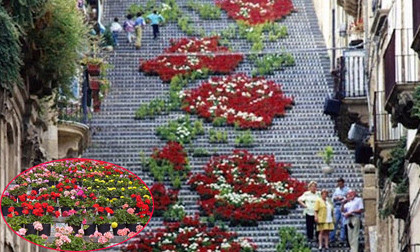 Ngắm cầu thang "chạm nổi", trang trí bằng hoa tươi gây chú ý