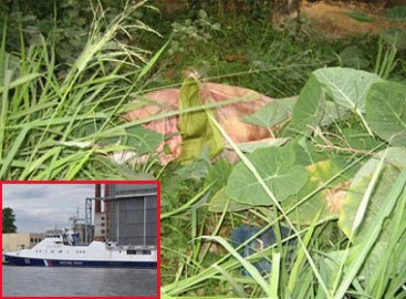 NÓNG 24h: Gái bán dâm bị khách làng chơi chích điện tới chết