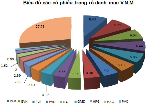 Dự đoán cơ cấu danh mục V.N.M: PVX bị loại, MSN hay HSG được thêm vào?