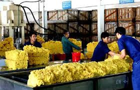 PHR: Giảm mạnh kế hoạch kinh doanh 2014