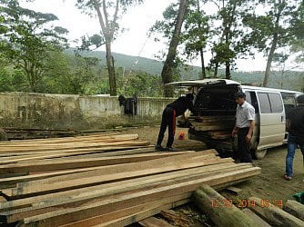 Dùng xe biển số xanh để vận chuyển gỗ lậu