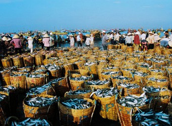 Cho vay vốn nhằm giảm tổn thất trong nông nghiệp