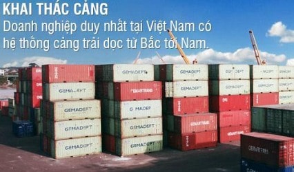 GMD: Sau kiểm toán, lãi Công ty mẹ hụt 69 tỷ, hợp nhất thêm 54 tỷ