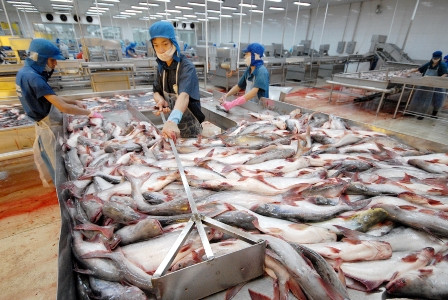 HVG: Giải trình các khoản nợ tiềm tàng 2013