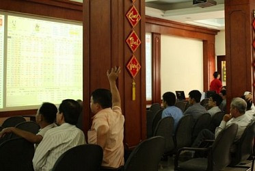 TLH: Bán cổ phiếu quỹ để bổ sung vốn kinh doanh