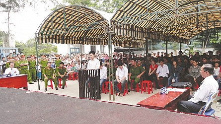 Về các biện pháp xử lý hành chính do TAND xem xét, quyết định (kỳ 1)