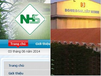 SBT và NHS vào Top 50 công ty niêm yết tốt nhất của Forbes