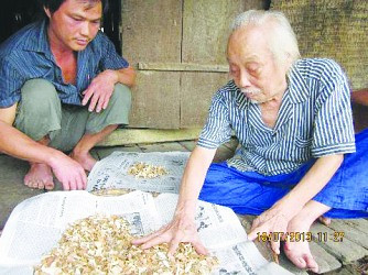 Kỳ lạ vị “thần y” sở hữu bài thuốc từ vài loại cây rừng chữa được “bách bệnh”