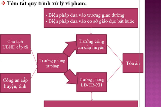 Tập huấn các biện pháp xử lý hành chính tại Tòa án
