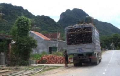 Nghệ An: Gian nan trong việc xử lý xe quá tải, quá khổ