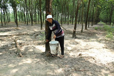 Tòa án huyện Nhơn Trạch bác yêu cầu khởi kiện là có căn cứ