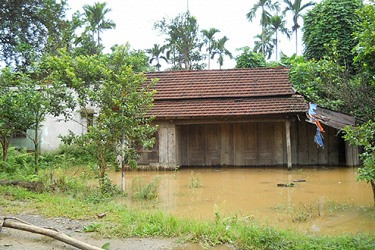 Quảng Nam: Khai trừ Đảng Trưởng phòng Tài chính liên quan đến dự án Sông Tranh 2