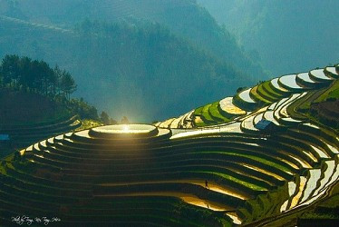 Những địa điểm ngắm mùa lúa Tây Bắc khiến bạn "đứng hình" vì đẹp