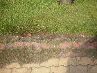 Thêm một vụ giết người ở TP.HCM