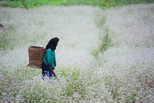 Những "thiên đường" cho ngày du lịch cuối thu