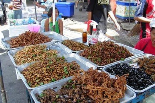 Côn trùng “lên ngôi” trên bàn nhậu