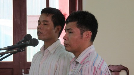 "Luật ngầm" giữa rừng xanh