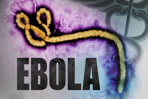 Virus Ebola đã lan truyền ra ngoài khu vực Châu Phi