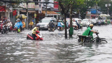 Có lỗi với dân