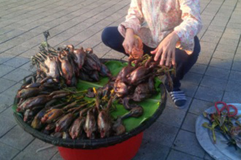 Đất lành...chim lên bàn nhậu