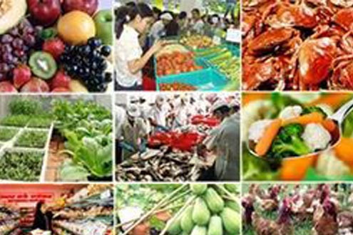 Hoàn thiện Đề án đổi mới phương thức kinh doanh nông sản