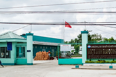 Cà Mau: Bắt hai đại gia thủy sản lừa đảo chiếm đoạt gần 700 tỷ đồng