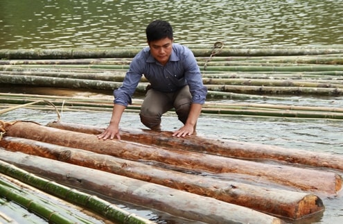 Thanh Hóa: Kỷ luật cán bộ kiểm lâm để xảy ra phá rừng